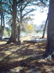 picnic_area_lombardy_park